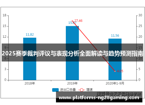 2025赛季裁判评议与表现分析全面解读与趋势预测指南