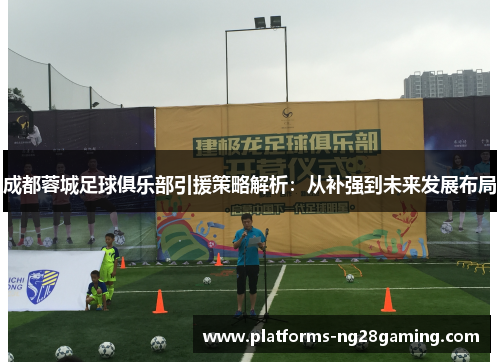 成都蓉城足球俱乐部引援策略解析：从补强到未来发展布局