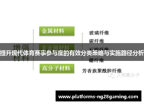 提升现代体育赛事参与度的有效分类策略与实施路径分析