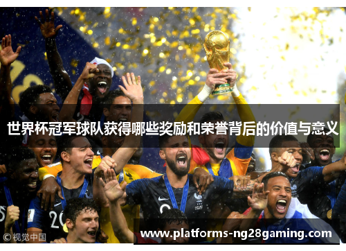 世界杯冠军球队获得哪些奖励和荣誉背后的价值与意义