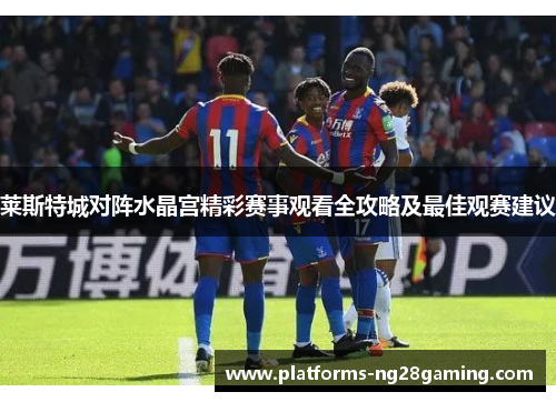 莱斯特城对阵水晶宫精彩赛事观看全攻略及最佳观赛建议