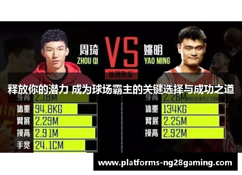 释放你的潜力 成为球场霸主的关键选择与成功之道