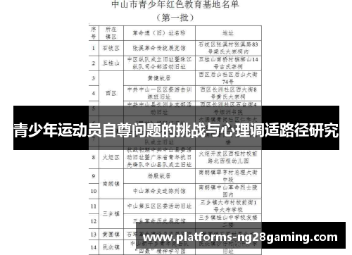 青少年运动员自尊问题的挑战与心理调适路径研究