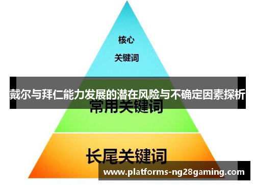 戴尔与拜仁能力发展的潜在风险与不确定因素探析