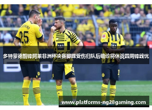 多特蒙德前锋阿莱非洲杯决赛脚踝受伤归队后确诊将休战四周锋线忧