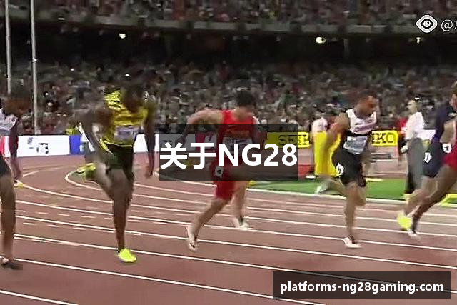 关于NG28